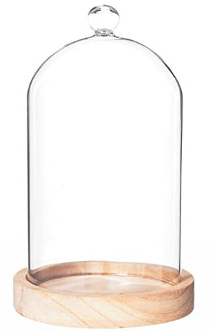 Atmosphera - Cloche - Verre et Bois - H19 cm