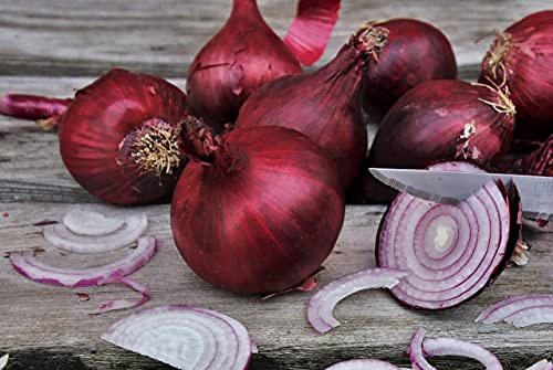Lot de 250 Graines d'Oignon Rouge de Brunswick - Variété Populaire et apprécié - Saveur Douce et Sucrée - 100% Naturelle - Qualité Gustative - Garantie Germination - Semences 100% Reproductibles