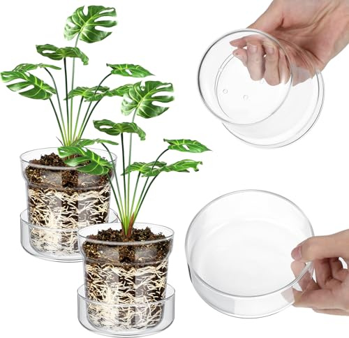 Baderke Lot de 4 Pots de Fleurs en Verre Transparent antidérapant avec Trous de Drainage, Voir Les Racines, Pot de Fleurs pour Plantes d'intérieur Moderne avec Soucoupe Terrarium (10,2 cm)