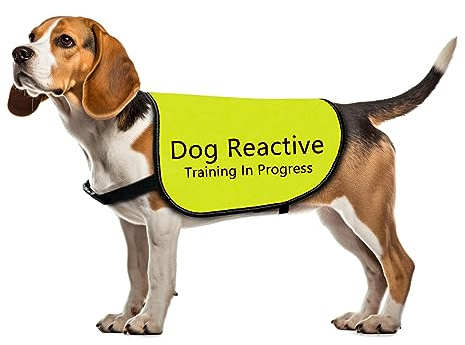 Reaktive Hundejacke Weste Hund Reaktives Training in Progress Weste Hundetraining Slogan Warnweste (Dog Reactive Training, Medium)