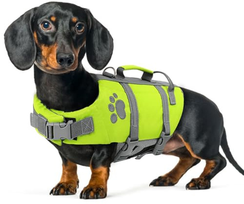 Queenmore Schwimmweste Hund Klein, Verstellbar Rettungsweste, Grün, S | Reflektierende Hunde Schwimmweste Mit Rettungsgriff, Dackel Französische Bulldogge, Kajak Surfen