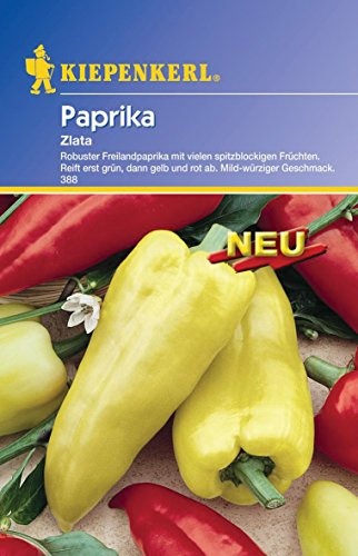 Kiepenkerl Paprika Zlata