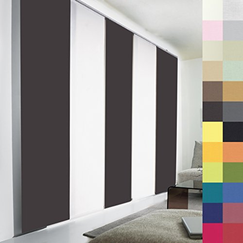 Sun World Schiebegardinen nach Maß, hochqualitative Wertarbeit, alle Größen verfügbar, Maßanfertigung, Schiebevorhang, Raumteiler, Flächenvorhang, Blickdicht (160cm Höhe x 60cm Breite/Anthrazit)
