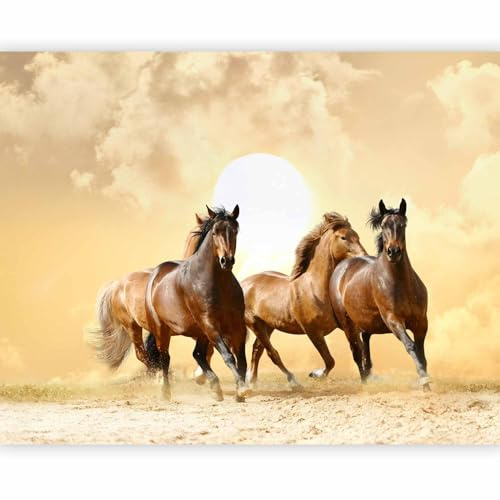 murando Fototapete selbstklebend Pferde 196x154cm - Foto Tapete Tapetenfolie Möbelfolie Wandverkleidung Wandtapete Motivtapeten Bildtapete Wohnzimmer 3d Effekt Modern Tiere Pferd Wüste Sonne Galopp