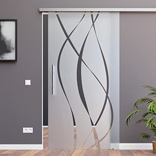 BM6-775-420-ASE: Schiebetürsystem ESG 775x2050x8mm Dekor M6, Siebdruck; Schienensystem ALU SlimLine SoftClose; Griffstange rund 420