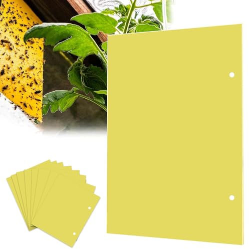 Trappola Adesiva, 20 Pezzi 30 x 25 CM Trappole Adesive per Insetti, Dual-Side trappole Adesivo Giallo per Mosca Bianca, Mosca della Frutta, Afidi, Minatori Fogliari (Fascette Incluse)