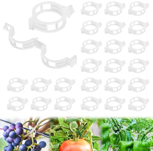 100 Stück Pflanzenclips Kunststoff Pflanzenklammern für Kletterpflanzen, 2025 Wiederverwendbare Pflanzenklammern für Tomaten, Trauben, Reben, Gurken, Gartenklammern Innen Außeneinsatz (100, Weiße)