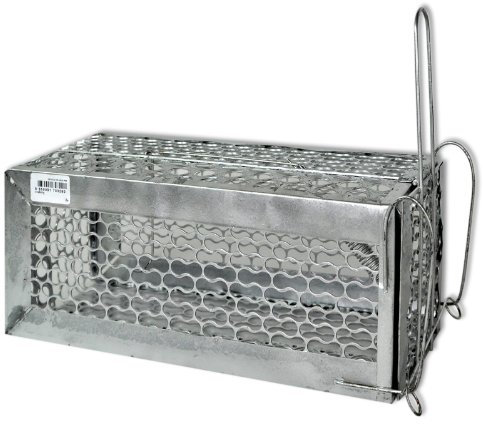 Vivants Piège, piège à rat