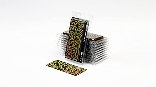 Laserpflanzen - Hirschfarn