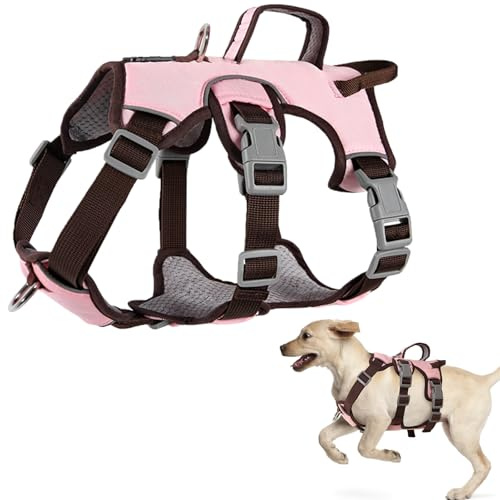 LiebeDD sele hundar medium, säkerhetssele hund okrossbar, Y hundsele vadderad med handtag, anti-drag-hundsele för medelstora små hundar och valpar (rosa, M)