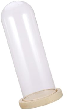 BAZEITFLOW Funda Antipolvo Con Forma De Flor Campana De Transparente Para Adornos De Flores Secas Base De Madera Color Natural Para Mesa