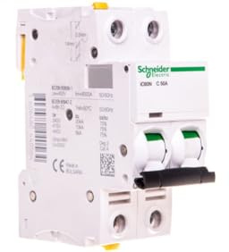 Schneider A9F04250 Disjoncteur iC60N, 2P, 50A, C caractéristiques, Multicolore