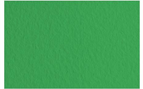 Honsell 21297112 - Fabriano Tiziano Pastellpapier Prato, DIN A4, 50 Blatt, 160 g/m², hoch hadernhaltig, säurefrei und alterungsbeständig, griffige, raue Oberfläche