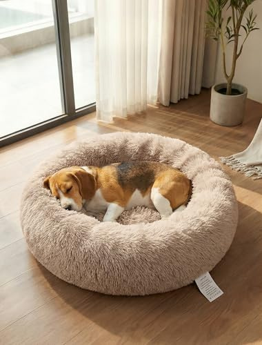 OKPOW Donut Hundebett Fuer Kleine Hunde: Flauschig Welpenbett Rund Kuscheliges - Anti Angst Katzenbett Comfy - Plüsch Haustierbett Waschbar