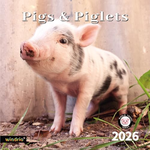 2026 Wall Calendar,Calendar 2026, November 2025 - December 2026, Wall Calendar Pigs & Piglets, 12 x 24 Opened,Full Page Months Thick & Sturdy Paper for Gift Perfect Calendar Organizing & Planning