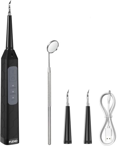 Plaque Remover for Teeth, Dental Care Device 3 Adjustable Modes Teeth Cleaning Kit with 2 Replaceable Clean Heads for Tartar & Calculus Remover