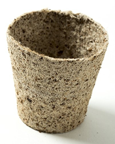 Nutley's Round 6cm Peat-Free Fibre Plant Pots Biodegradable (Quantity: 500, Size: 6cm)