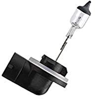 PHILIPS Glühlampe, Nebelscheinwerfer 12060C1