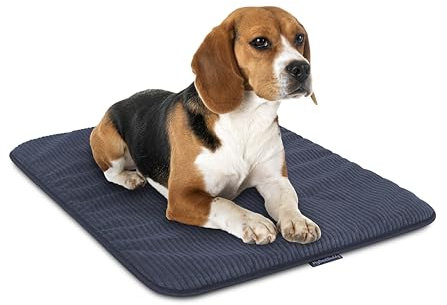 MyBestBuddy Hundematte grau Basic 70x45 cm M mit weichem Stoff extra für Haustiere - 40°C waschbar, allergikerfreundlich (100% Polyester) - Hundekissen BZW. Hundebett für mittlere Hunde, 70 x 45 cm