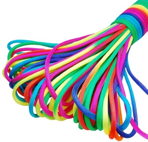 Colorful Rainbow Paracord Cord Rope Type III 7 Strand Parachute 550 Cord Bracelet – Available in 10ft 20ft 50ft 101ft 328ft (101ft (31M))
