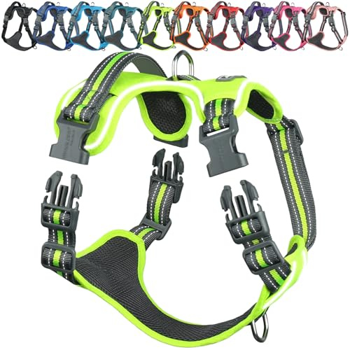 VIVAGLORY Anti Zieh Geschirr für Hunde Hundegeschirr, M, Neongelb, A | Antizuggeschirr mit Gepolstert Griff & Brustring, Anti Zieh Mitwachsend Ausbruchsicher & Reflektierend für Welpe Hund