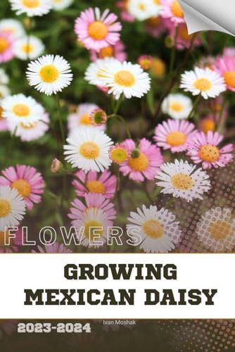 Growing Mexican Daisy: Become flowers expert