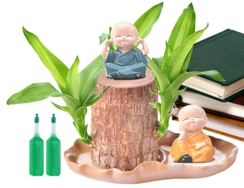 HunicandIU Madera de la suerte brasileña, bambú mágicamente brotante de la suerte, planta hidropónica en maceta, planta de escritorio de oficina, limpia el aire interior, planta en maceta de cuatro