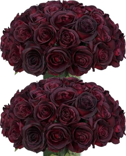 DuHouse Künstliche Rosen aus Seide, Hochzeit Deko, 50 Stück, Schwarz & Rot | 50 Stück Seidenrosen, lange Stiele, wie echt, Großpackung für Hochzeit & Blumenarrangements & Heimdekoration