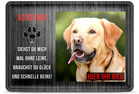 Blechschild PERSONALISIERT mit EIGENEM Hundefoto und Spruch - Siehst Du mich mal ohne Leine - Geschenkidee für Hundebesitzer/Türschild/Hundeschild - Querformat DIN A6