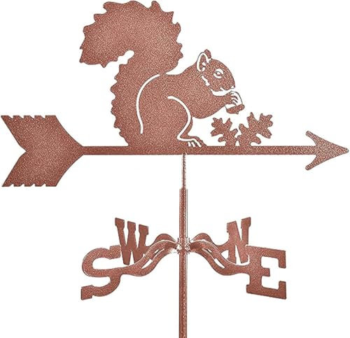 Ruiseawing Girouettes pour toits, girouette en métal vin, indicateur de Direction du Vent Original, indicateurs de Direction du Vent avec Anti-Vent, Style 3
