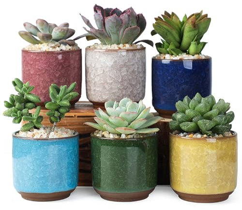 ROEOWENE 6 Stück Sukkulenten Töpfe Set 6cm Keramik Kaktus Pflanze Töpfe Mini Blumentöpfe mit Untersetzer Deko Pflanztopf Klein Pflanzgefäß Sukkulententopf für Home Office Schreibtisch Balkon
