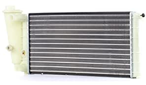 RIDEX 470R0118 Radiatore motore Compatibilità con LANCIA YPSILON 843