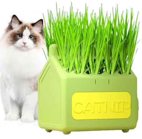 Neamou Katzengras-Pflanzkasten, Katzengras-Pflanztablett,Milchkastenförmige Katzenminze-Anti-Grab-Gras-Sprossenschalen - Graspflanzbehälter, Anti-Graben-herausnehmbarer Grastopf, Graspflanzgefäß für