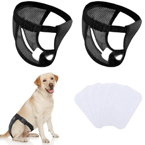 INSPUTOL 2Pcs Washable Dog Diapers for Female Dogs in Heat, Reusable Dog Pants with 6 Pads for Monthly Bleeding Protection, Black (Large)