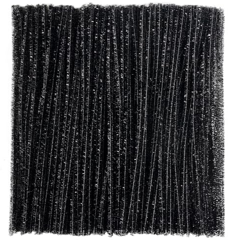 Caydo 200 Stück glitzernde schwarze Pfeifenreiniger, dicke, flauschige Chenille-Stiele, Pfeifenreiniger, Basteln für Kunst und Handwerk, perfekt für die Herstellung von Tieren, Blumen und festlichen | Dicke, flauschige Chenille-Stiele für Kunst und Handwerk, Tiere, Blumen und Festival-Dekoration