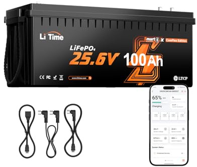 LiTime LiFePO4 24V 100Ah Bluetooth Lithium Batterie Kompatibel mit Victron | 100A BMS, 4000+ Tiefzyklen, Untertemperaturschutz, CAN RS485, 2560Wh, für Wohnmobil, Solaranlage
