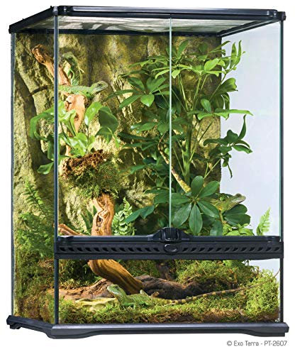 Exo Terra Terrarium aus Glas, mit einzigartiger Front Belüftung, 45 x 45 x 60cm