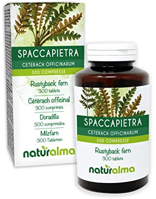 Doradilla (Ceterach officinarum o Asplenium ceterach) hojas Naturalma - 150 g - 300 comprimidos - Complemento alimenticio - Natural y Vegano