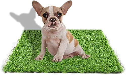 STARROAD-TIM 50X60CM Artificial Grass Outdoor Dog Toilet for Home Dog Toilet Home Dog Toilet Balcony Reusable Training Pads for Dogs Washable Pet Urine Pad Lawn Decoration