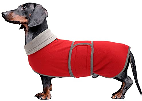 MOREZI Winterhundejacke mit wattiertem Flusenfutter, verstellbarem Klettknopf und hochklappbarem Stehkragen. Sehr gut geeignet für Dackel und kleine und mittelgroße Jagdhunde-Rot-M