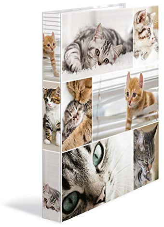 HERMA Ring Binders A4 Cats Set of 3 Slim 4 Rings 35mm Wide Kids Ring Binder with Animal Motif Colourful Folder with Inner Print for Boys and Girls