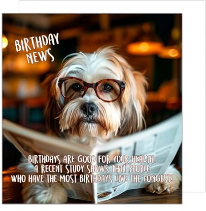 Edition Seidel Premium quadratische Geburtstagskarte mit Umschlag. Glückwunschkarte Happy Birthday Billet Tier Karte Mann Frau Cooler Hund Humor Lustig (GQ158 SW024)