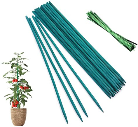 DeJivsin 25 Stück 30cm Pflanzstab, Pflanzenstützen, Metallischen Bindebändern Orchidee stab für Garten Kletterpflanze Erweiterung der Pflanzenstütze, Pflanzenstab