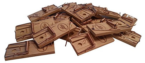 Moorland 20 traditional mousetraps reliable traps fight vermin in home and garden