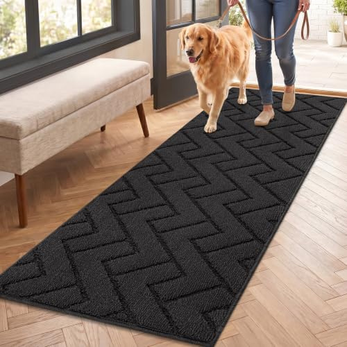 Biscpro Innen Fußmatte 50x150cm, Schmutzfangmatte rutschfest Fussmatte Innen Waschbar Eingangsteppich Innen Fussmatten Haustür dünn Innen für Eingang, Flur, Garten, Innen, Haustier