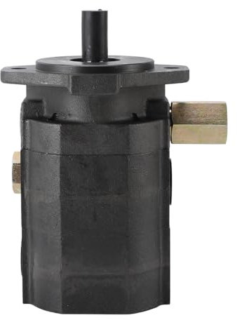 Pompa Spaccalegna, Pompa Spaccalegna Idraulica 22GPM Pompa Spaccalegna Orizzontale Design in Acciaio Inossidabile in Ghisa Ad Alta Efficienza e Durevole per il Giardinaggio