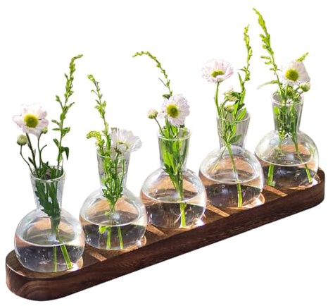Pflanzen-Terrarium | Desktop-Anzuchtstation | Anzuchtstation | Glas-Pflanzgefäß mit Holztablett | Desktop-Blumenvase | Terrarium-Glas-Pflanzgefäß für Hydrokultur-Blumen im Innenbereich