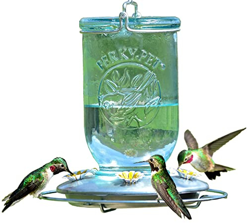 Perky-Pet 785-1SR Mason Jar Vintage Glass Hummingbird Feeder - Outdoor Garden Décor - 32 Oz Nectar Capacity