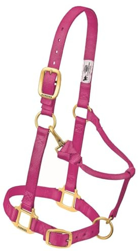 Weaver Leather Original Adjustable Nylon Horse Halter, Weanling/Pony, Raspberry