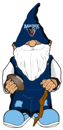 FOCO Maine Team Gnome